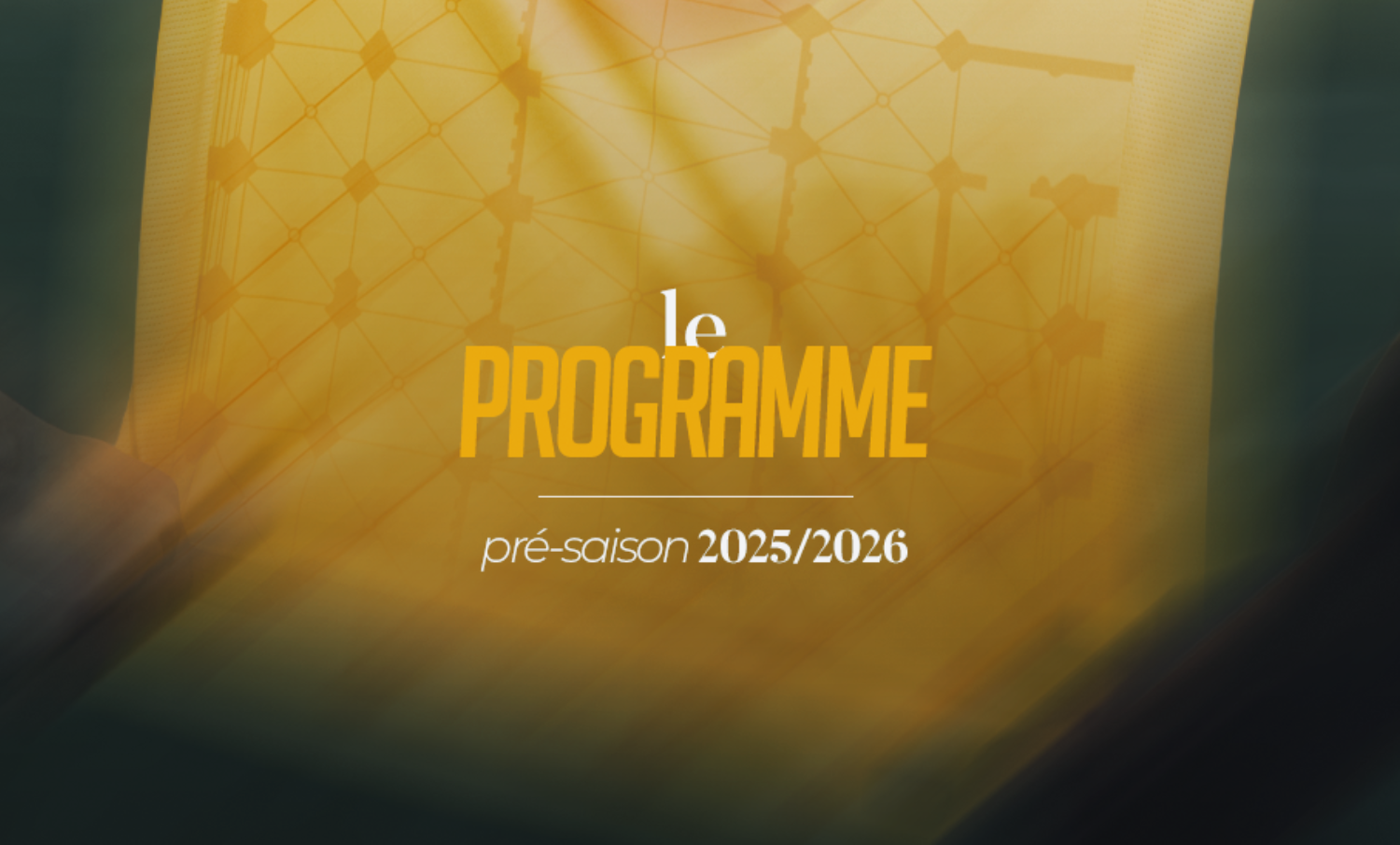 Article Site Web (66)